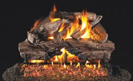 Gas logs hot sale with remote